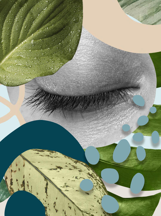 HOLISTYCZNE ŚCIEŻKI HARMONII